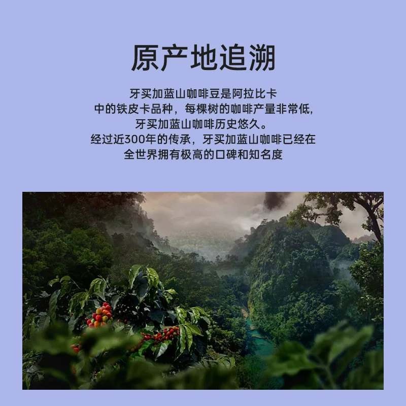 JABLUM импортированный Blue Mountain No. 1 золотой стандарт круглые бобы Peaberry жемчужина боб светлая роскошь чемодан подарочная коробка пакет