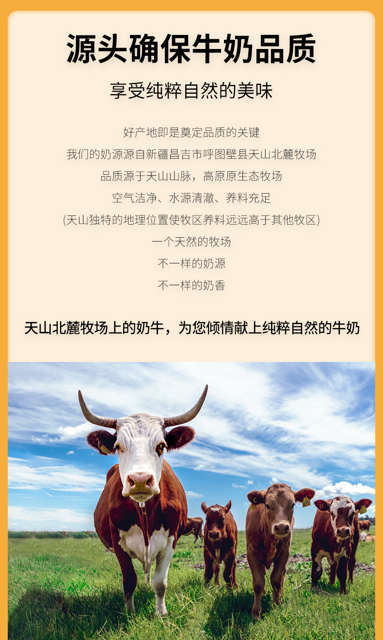 西域春 天山新鲜纯牛奶 200克*20盒 图4