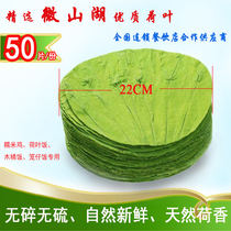 Whole lotus leaf round 22CM lotus leaf rice lotus leaf tea rice dumplings glutinous rice chicken lotus leaf chicken wooden bucket rice 50 pieces