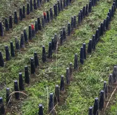 Cylindrical Leek yellow cover plastic pvc leek sunshade for vegetable farmers special leek planting tube leek planting black cover