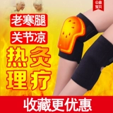   ネ ネ 蓉 蓉 蓉  缡     缡 デ デ デ デ デ デ 缡 缡 缡 缡 缡 缡