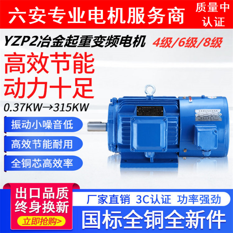 YZP Metallurgical Lifting Frequency 11 11 15 15 22 18 30 30 37 45 55 55 90 90 110kw