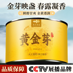 【2罐】慕方绿茶黄金芽安吉茶叶