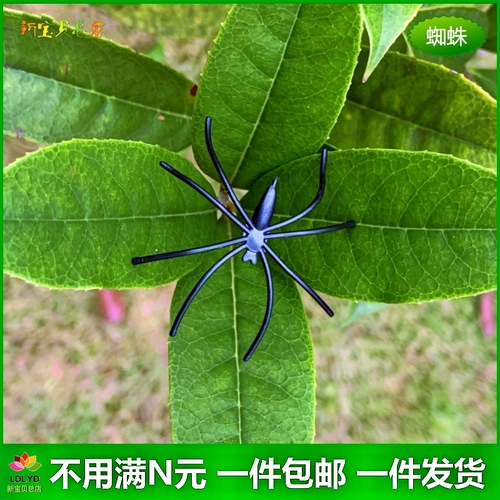 Реалистичная маленькая игрушка, паук