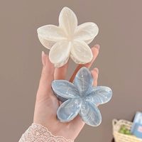 2 куски цветов