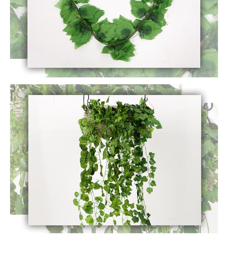 Mô phỏng cây leo mây trang trí lá nho dây uốn lượn hoa giả hoa mây trần nhựa - Hoa nhân tạo / Cây / Trái cây cây giả trang trí phòng khách