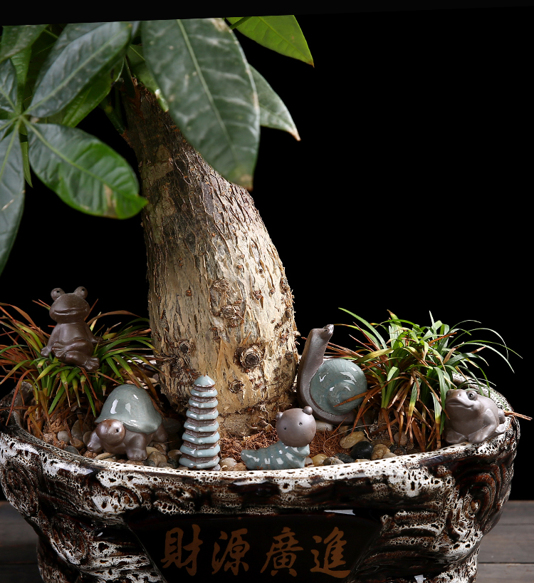 Take spoil flowerpot micro landscape bonsai landscape ornaments mini zen ceramic small place small animals