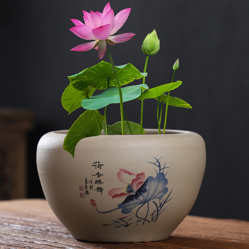 A leaf of lotus copper money grass flower pot Daffodils Water lilies bowl Lotus non-porous ceramic special clearance large hydroponic succulent water culture