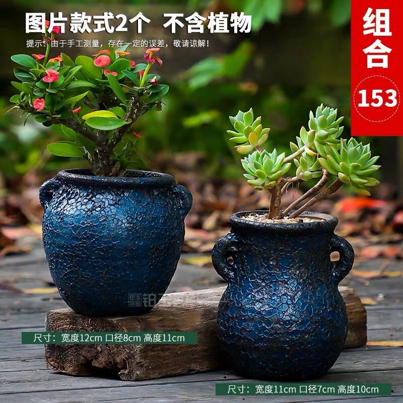 More special offer a clearance large meat meat meat flowerpot ceramics creative contracted violet arenaceous indoor the plants flower pot in move