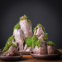 Moss potted rockery rock absorbent bonsai hydroponic Moss landscaping office desktop purification air flowerpot ornaments