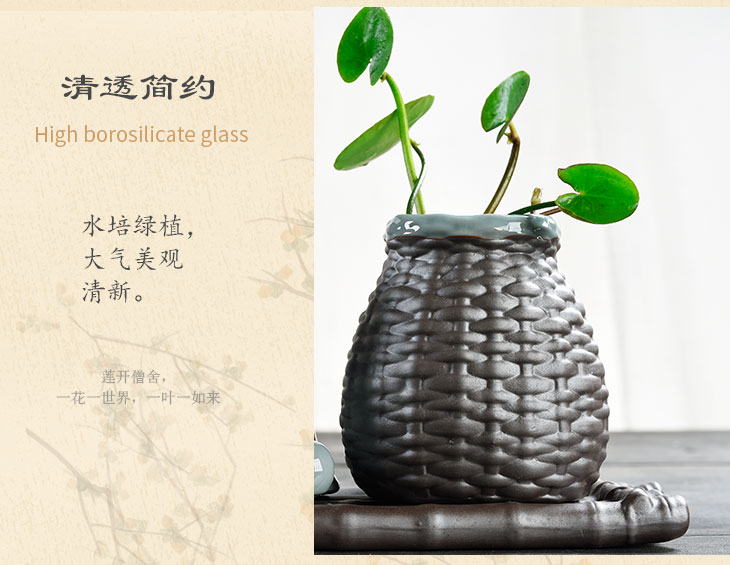 Sáng tạo nước thủy canh bình thủy đơn giản trồng cây hoa chậu nước chậu hoa phòng khách trang trí nhỏ - Vase / Bồn hoa & Kệ bình cắm hoa hồng