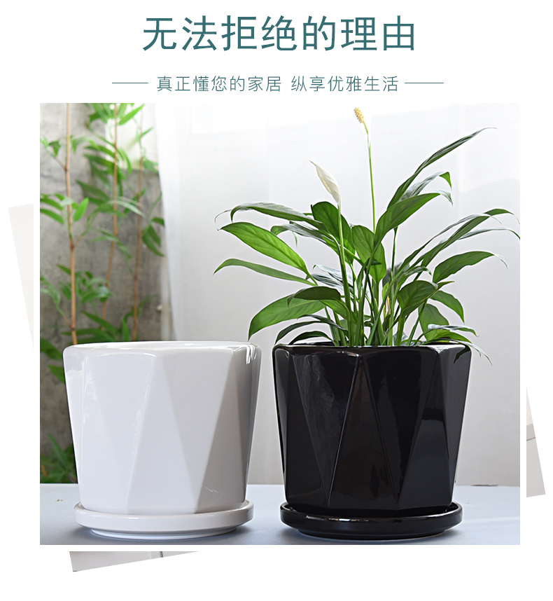 European ceramic creative move contracted with black and white flower pot tray was big money plant bracketplant Nordic fleshy flowerpot on sale