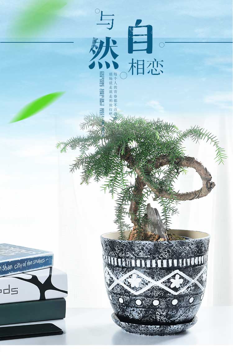 Flowerpot ceramic wholesale indoor oversized coarse pottery large green plant with tray was creative element to burn more than other meat Flowerpot