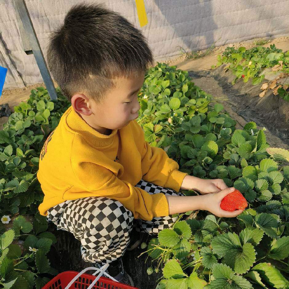 果果果专柜正品代购