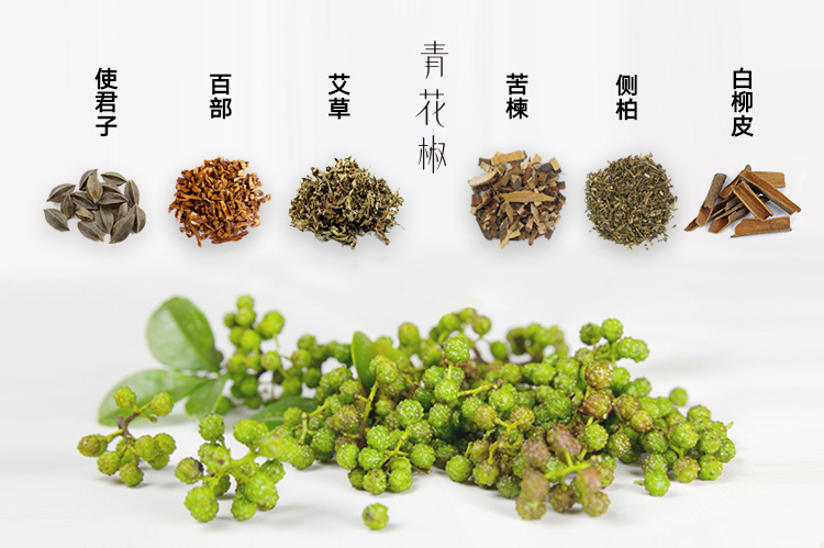 bình xịt côn trùng thái lan Man Ting Green Pepper Loại bỏ Aphid Spray Chất lỏng không diệt khuẩn Bộ đồ giường gia đình Giặt vật nuôi chống bụi - Thuốc diệt côn trùng bình xịt muỗi hiệu quả