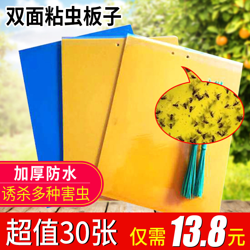 Greenhouse Garden garden Double-sided Sticking Insect plate Blue plate Yellow plate Sticking Insect plate Waterproof Double-sided Seducting Plate Thistle Mucus Plate-Taobao