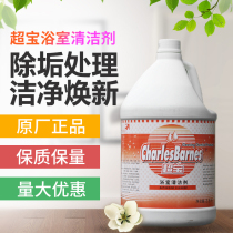 SuperBao DFF024 bathroom cleanser toilet bath toilet Toilet Bowl Wash Basin Tile Decontamination Floor Tiles Cleaning