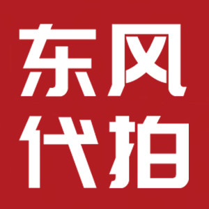 东风代拍的LOGO