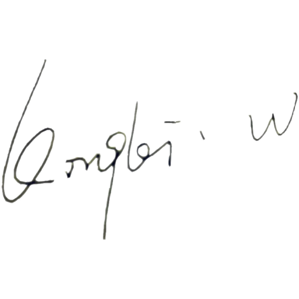 QINGLEI W