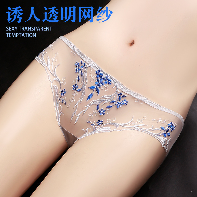 2026 Women's Underwear Sexy Lace Girl's Underwear Seamless Transparent Nude Feel Fashion Floral Embroidery Briefs for Women