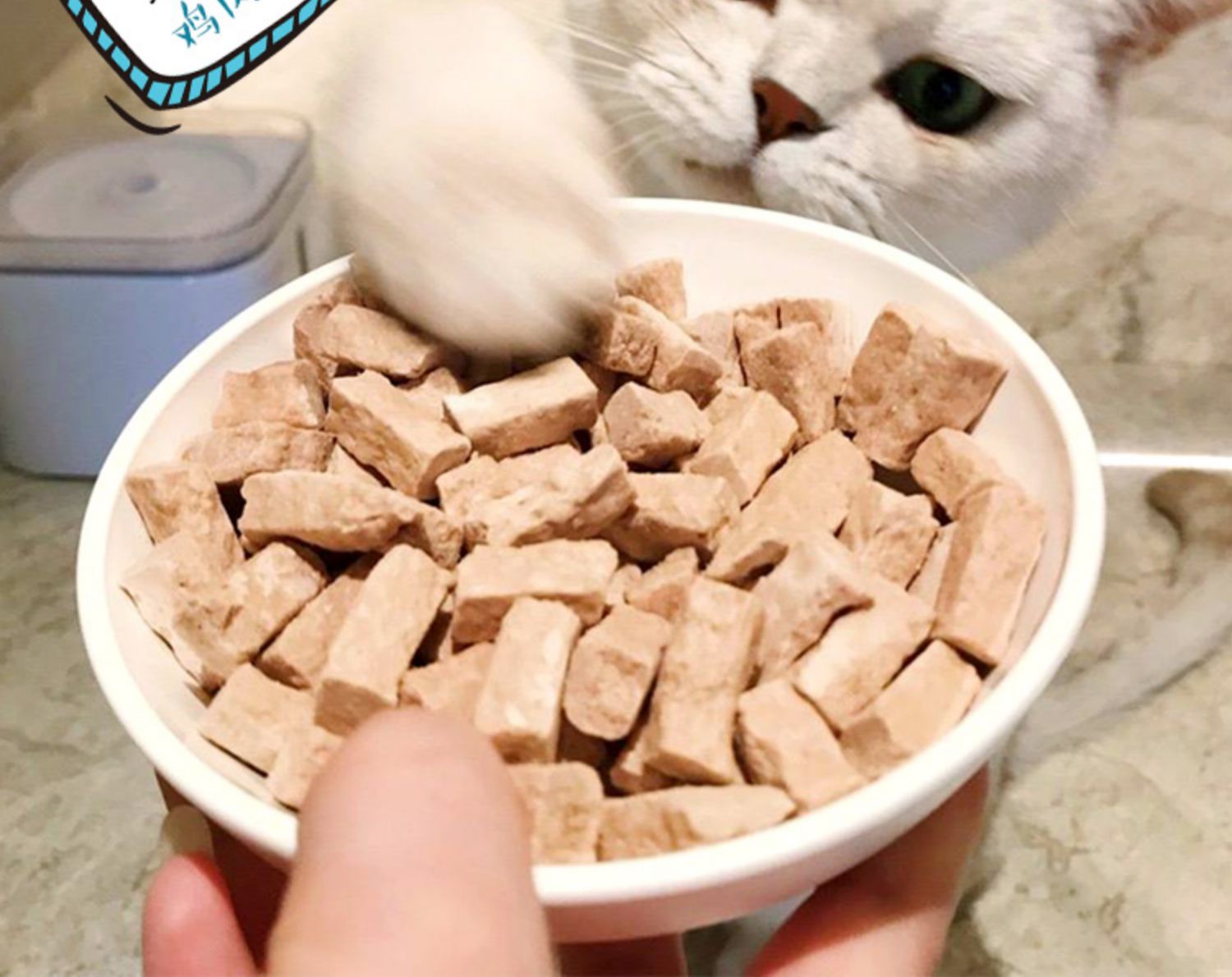 Earth Cat Pet Love Cube Thịt lợn khô sống đông lạnh Thịt gà và thịt vịt vịt / Lông khô đông lạnh - Đồ ăn nhẹ cho mèo hạt catsrang cho mèo con