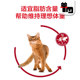 Native cat pet domestic royal cat food F32 ideal body adult cat staple food 2kg cat staple food