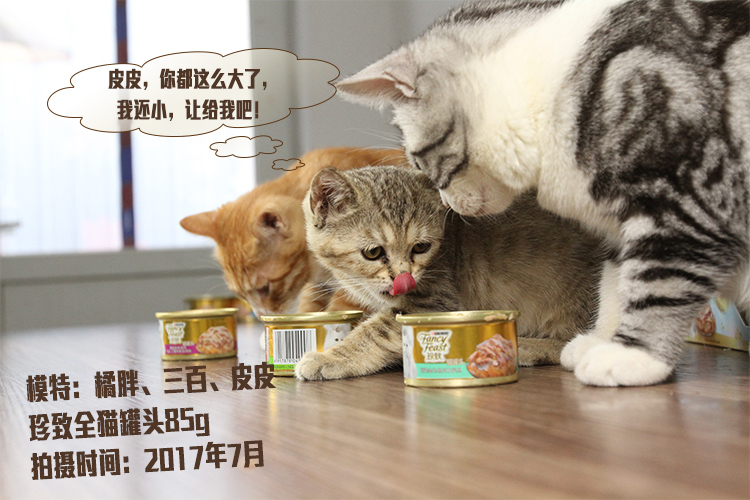 Trái Đất Mèo Nuôi Lọ Mèo Nhập Khẩu, 85g6 Lon Mèo, Mèo, Thức Ăn Ướt, Đồ Ăn Nhẹ, Cá Ngừ, Mèo Đóng Hộp thức ăn mèo royal canin