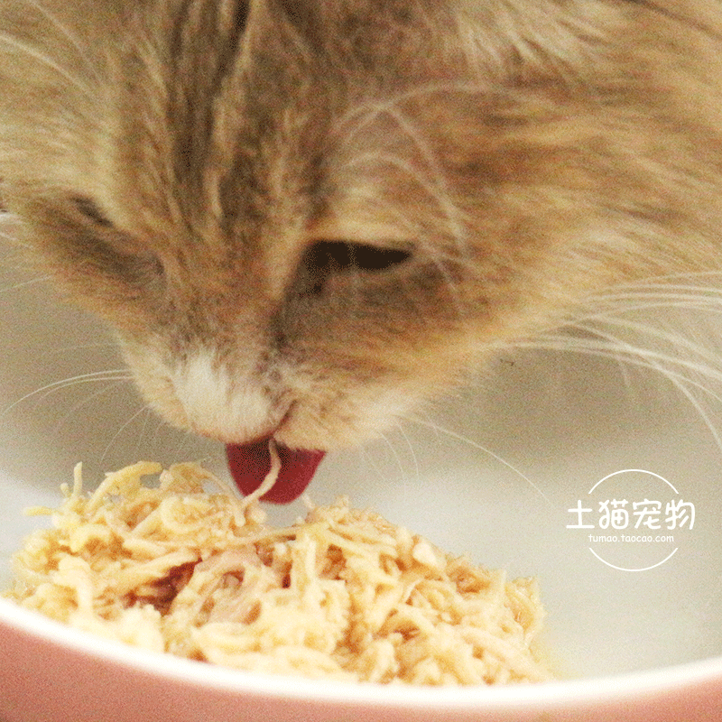 Earth Cat Pet Meowstard 优 优 White Meat Soup Jar 80g Single Can Cat Cat Cat Snacks Đồ ăn ướt Review các loại hạt cho mèo