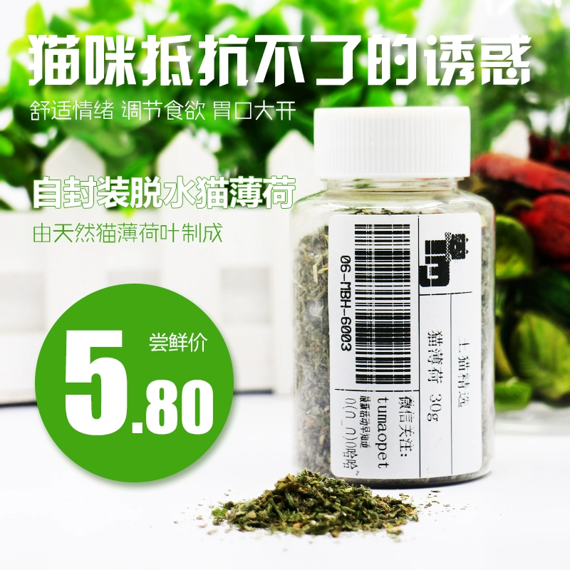 Mèo bản địa bị mất nước nghiện mèo mèo mèo cỏ mèo ăn nhẹ mèo yêu mèo cather 20g để điều hòa dạ dày - Đồ ăn nhẹ cho mèo