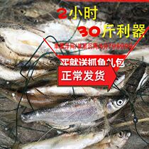 Sticky Nets Fishing Nets Single Layer Floating Nets Sunken Nets Nest Lake Filament Small Fish Small White Strips of Crucian Carp Drift Nets Nets