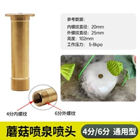 4/6 очков ГМ грибной дух