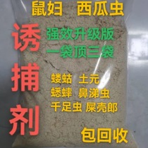 Rat worm watermelon worm woodlouse trapping agent slug dung beetle mole cricket watermelon worm trapping agent recycling