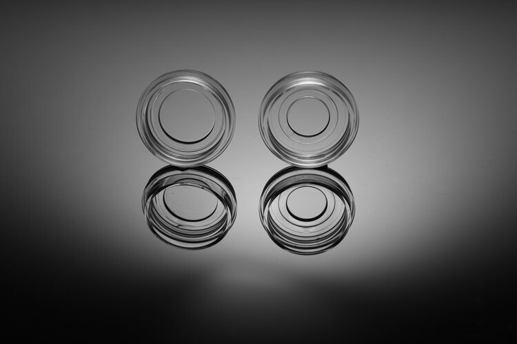 玻底培养皿 801001 801002 &phi;20mm 耐思NEST15mm TC 白鲨独立包装共聚焦培养皿10个/包20个一盒