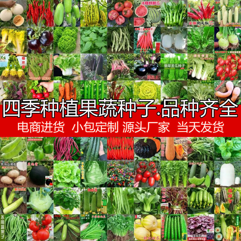 Complete collection of seasonal vegetable seeds for indoor