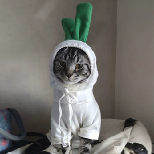 Новая осенняя и зимняя коробка для собачьей одежды для собак маленькая и средняя зимняя битва бишон медвежь