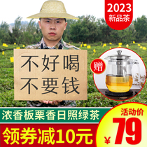 日照绿茶新茶叶春茶绿茶特级散装山东正宗板栗香礼盒装旗舰店