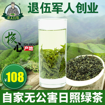 Rizhao Green Tea 2021 New tea premium Spring Tea Bulk fragrant alpine cloud fried green green tea leaves 500g