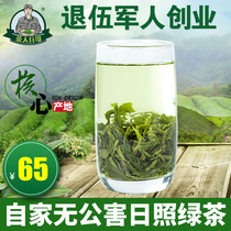 Rizhao Green Tea 2021 new tea premium bulk gift box fried youth tea Alpine cloud green tea 500g