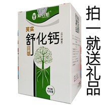 Jars Gordon Euryuryurized Calcium Chewable Tablets 1 5g * 80 slices of childrens young aged adults physique good manners