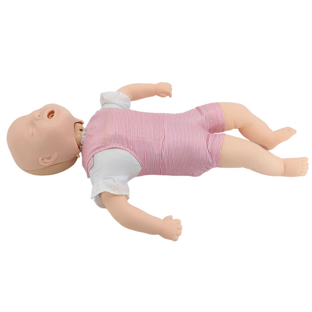 CPR150 Advanced Infant Airway Obstruction and CPR Model/Infant Infarction Simulation/CPR Model
