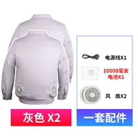 Две серые кусочки+аксессуары (два фаната+10 000 миллианов заряжающих сокровищ)