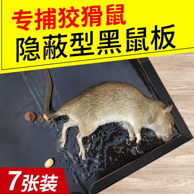 Rat sticker strong sticky rat plate glue scratch rat artifact home nemesis flutter rat indoor catch rat nest end
