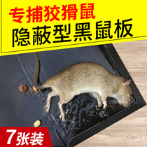Mouse stick strong sticky mouse board glue Catch the mouse artifact Household nemesis fight the mouse Indoor catch the mouse nest end