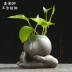 Sáng tạo nhà sư nhỏ hoa trang trí nhà trang trí bàn trà hoa màu xanh lá cây hoa bình hoa gốm thủy canh - Vase / Bồn hoa & Kệ Vase / Bồn hoa & Kệ