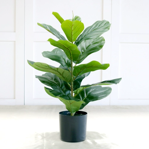 Nordic Simulation Plant Presser, банановая черепаха листьев листьев листьев листьев листьев листьев листьев листьев большой посадка зеленый бонсай.