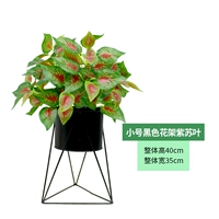 Маленькая черная цветочная полка+лист при пурпурном подвеске