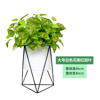 Большая белая цветочная подставка+листья эритема