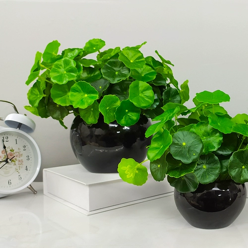 Симуляция цветочные пластиковые фальшивые цветочные керамические зеленые растения