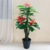 Cây giả cây giàu mô phỏng cây lớn sàn chậu trồng cây nhựa hoa giả phòng khách trang trí nội thất mô phỏng cây xanh - Hoa nhân tạo / Cây / Trái cây hoa hồng giả đẹp Hoa nhân tạo / Cây / Trái cây