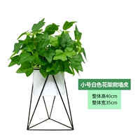 Маленькая белая цветочная подставка+скалолазание тигр